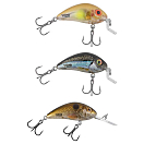 Купить Salmo QRH555 Rattlin Hornet Shallow Runner воблеры 45 mm 6g Clear Holo Smelt 7ft.ru в интернет магазине Семь Футов