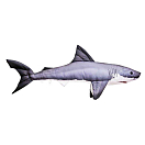 Купить Gaby GP-175242 The Monster Great White Shark Голубой  Grey / White 7ft.ru в интернет магазине Семь Футов