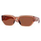 Купить Costa 06S9125-91250658 поляризованные солнцезащитные очки Clemente Translucent Pink Sands / Translucent Pink Sands Copper 580P/CAT3 7ft.ru в интернет магазине Семь Футов