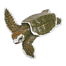 Купить Safari ltd S267429 Kemps Ridley Sea Turtle Baby Фигура Зеленый Green / Brown From 3 Years  7ft.ru в интернет магазине Семь Футов
