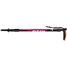 Купить Fizan FZ100026 трости Classic Micro Серебристый Magenta 50-97 cm 7ft.ru в интернет магазине Семь Футов