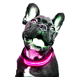 Freedog CC4004 LED Воротник Голубой  Pink XS