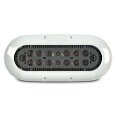 Купить Ocean led 012309B X16 Белая  Blue 5800 Lumens  7ft.ru в интернет магазине Семь Футов