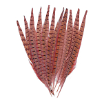 Baetis BAPFN Natural Pheasant Перо  Brown