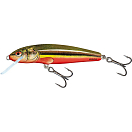 Купить Приманка Salmo Minnow Sinking QMW011 50мм 5г погружение 0,8-1,5м цвет Rainbow Dace 7ft.ru в интернет магазине Семь Футов