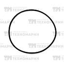 Купить Кольцо уплотнительное BRP 008-599-15 WSM 7ft.ru в интернет магазине Семь Футов