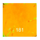 Купить Baetis SB181/WA Sparkle Тесьма  181 Peach 7ft.ru в интернет магазине Семь Футов