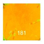 Baetis SB181/WA Sparkle Тесьма  181 Peach