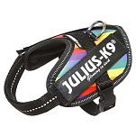 Julius k-9 16IDC-JRBW-B2 IDC® Power Baby Обуздать Многоцветный Rainbow Baby 2