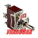 Тумблер трехпозиционный ON-OFF-(ON) 12 В/15А 3P (упаковка из 20 шт.) AAA AN3C-113AA_pkg_20