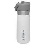 Термобутылка для воды Stanley Go Series ST1009697007 герметичная 650мл 241x81мм из нержавеющей стали белая