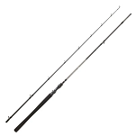 Daiwa ex742xxxhfbef бейткастинговое удилище Exceler 2 Секции Grey 120x10x10 2.2 m