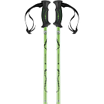 Ferrino 78132EVV Totem Поляки Зеленый  Black / Green 65-135 cm