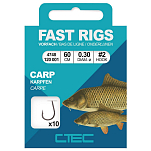 CTEC 004748-00121-00002-00 Fast Rigs Carp Связанный Крючок Без Зазубрин 0.280 mm Золотистый Gold 4 