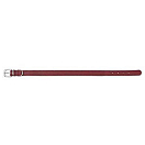 Купить Trixie 18711 Active Reflect Поводок Золотистый Red 20 mm x 100 cm 7ft.ru в интернет магазине Семь Футов