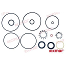 Комплект прокладок Volvo Penta AQ200-290, Recmar 876268_RM