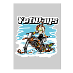 Стикер Top Sports 105х148 мм (А6)  721-sticker-snow-a6_uc-spot