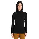 Купить Icebreaker 0a56if001m Базовый слой с длинным рукавом 260 Tech Turtleneck Black 30x25x2 7ft.ru в интернет магазине Семь Футов