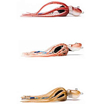 Mustad 656012 Inkvader Octopus Jig 150g Многоцветный Sand