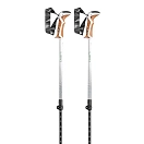 Купить Leki 65222361-90 - 125 трости Jannu  White / Smokegreen / Silver 90-125 cm 7ft.ru в интернет магазине Семь Футов