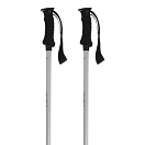 Купить Salewa 00-0000005669-8622-UNI Puez Aluminum Pro Поляки Серебристый Electric Blue / White 7ft.ru в интернет магазине Семь Футов