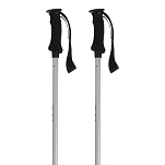 Salewa 00-0000005669-8622-UNI Puez Aluminum Pro Поляки Серебристый Electric Blue / White