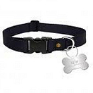 Купить Alpha industries 116928-03-M RBF Dog-Tag Обуздать Черный Black M 7ft.ru в интернет магазине Семь Футов