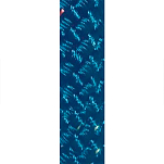 Poly ropes POL2266811716 Poly-Braid 32 Color 85 m Веревка Голубой Navy 16 mm 