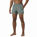 Helly hansen 34031_485-L плавательные шорты Cascais Grey Cactus L