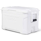 Купить Igloo coolers 50447 Profile Marine 50 47L Жесткий портативный кулер White 62 x 39 x 37 cm 7ft.ru в интернет магазине Семь Футов