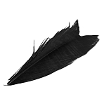 Baetis SC100/VE Condor Заменять Черный  Black