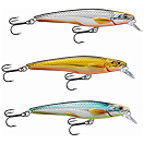 Купить Live target RS70S224-UNIT Rainbow Smelt Jerkbait РС 70С приостановка Пескарь 70 mm 3.5g Золотистый Gold / Purple 7ft.ru в интернет магазине Семь Футов