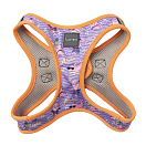 Купить Fuzzyard FZHS453-XXS Step in Aloha Dolphins Обуздать Фиолетовый Multicolor 2XS 7ft.ru в интернет магазине Семь Футов