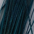 Купить Flybox SPQ-80-UNIT Перо Stripped Peacock Quills  Blue Marlin 7ft.ru в интернет магазине Семь Футов