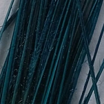 Flybox SPQ-80-UNIT Перо Stripped Peacock Quills  Blue Marlin