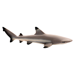 Safari ltd S200029 Black Tip Reef Shark Фигура Коричневый Grey From 3 Years 