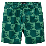 Globe GB02336001-NIGHTGREEN-XXL Плавки Circuits Poolshort Зеленый  Night Green 2XL