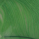 Купить Baetis OH509/WA Страусиное перо Зеленый  Fluor Chartreuse 7ft.ru в интернет магазине Семь Футов