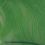 Baetis OH509/WA Страусиное перо Зеленый  Fluor Chartreuse