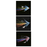Baetis MS008 Salmon Летать Многоцветный  Multicolor 8 
