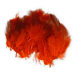 Baetis GBM012/WA Guinea Перо птицы Оранжевый  Orange