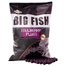 Купить Dynamite baits ady041515 Бойл Шелковица и слива 1.8kg Purple 40x20x20 15 mm 7ft.ru в интернет магазине Семь Футов