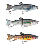 Sea monsters SMRLTSBL-SHAD Real Lures Two Section приманка Многоцветный