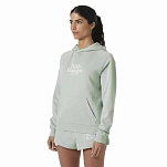Helly hansen 54239_462-s Толстовка с капюшоном Core Graphic Green Mist 40x30x12