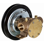 Jabsco 50080-2201 Бронзовый крыльчатый насос, на ножном креплении, размер 080, 12В муфта, шкив 1B, 1