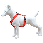 Freedog FD4002033 Nylon Neon Обуздать Красный  Orange 20 mm x 51-70 cm