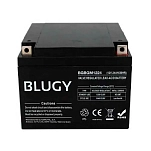 Blugy BGBGM1224 12V 24A Compact AGM Аккумулятор Черный Black 165x176x127 mm