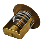 Bukh 008E6587 DV36 60 Степени Термостат  Bronze