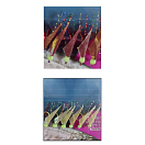 Купить Ragot 14RG4421024 Rainbow Skin Fluoro Рыболовное Перо Многоцветный Pearl 10  7ft.ru в интернет магазине Семь Футов