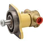 Johnson pump 189-10241405 Импеллерный насос F5B9 с фланцевым креплением Bronze / Black 15x10x13